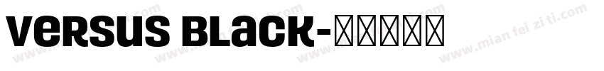 Versus Black字体转换